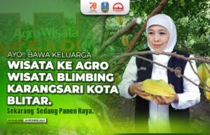 Kunjungi Agrowisata Petik Buah Belimbing Karangsari di Kota Blitar, Bisa Jadi Destinasi Wisata Andalan Kota Blitar Kunjungi Agrowisata Petik Buah Belimbing Karangsari di Kota Blitar, Bisa Jadi Destinasi Wisata Andalan Kota Blitar