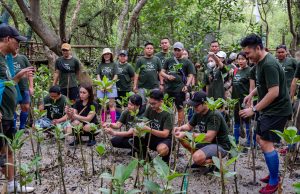 Portofolio Hotel Pakuwon Surabaya Dukung World Enviroment Day dengan Menanam Seribu Mangrove Portofolio Hotel Pakuwon Surabaya Dukung World Enviroment Day dengan Menanam Seribu Mangrove (foto : ist)
