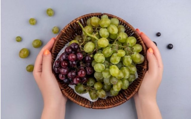 WhatsApp Image 2025-12-31 at 15.43.37