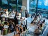 Four Points by Sheraton Surabaya Tunjungan Plaza Gandeng Kara Harps Gelar Summer Class 2026 dengan Pengajar dari Hong Kong dan Malaysia